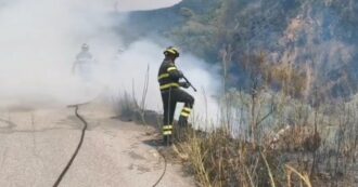 Copertina di Matera, 2 vigili del fuoco morti: cercavano di salvare una famiglia da un incendio nei campi