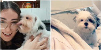 Copertina di “Mi sono sentita una fallita quando il dottore mi ha detto qual era il problema del mio cane”: l’amarezza della TikToker Kayla Valdes