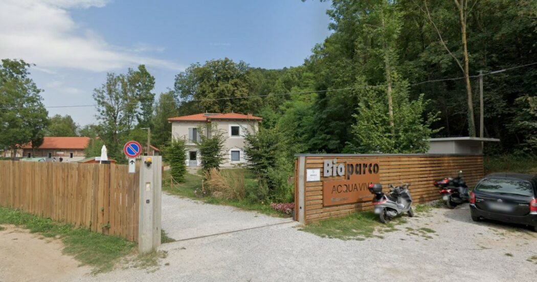 Bambina di 7 anni muore annegata durante un’uscita con il centro estivo vicino Cuneo