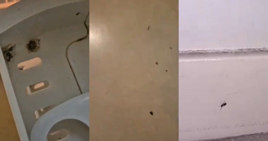Olimpiadi, escrementi di topi e scarafaggi: le pessime condizioni igieniche degli alloggi degli agenti di supporto alla Polizia