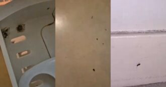 Copertina di Olimpiadi, escrementi di topi e scarafaggi: le pessime condizioni igieniche degli alloggi degli agenti di supporto alla Polizia