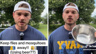 Copertina di “Volete sapere come eliminare zanzare e mosche mentre state bevendo una birra? È semplicissimo, basta avere più birre”: il video è virale su TikTok