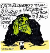 Copertina di La vignetta di Beppe Mora