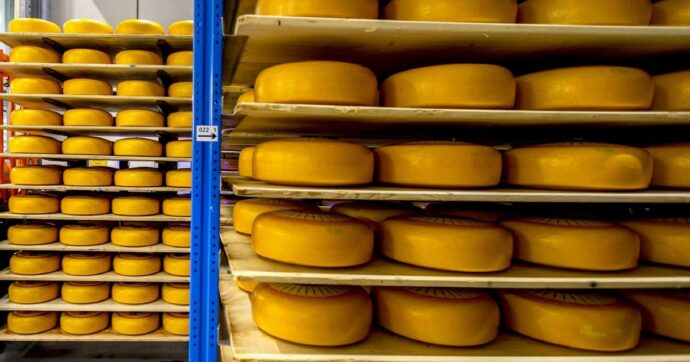 Bimbo in stato vegetativo per il formaggio, condannati ex presidente caseificio e casaro