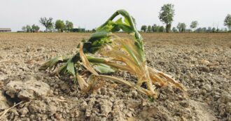 Copertina di Il cambiamento climatico costa all’Italia 284 euro per abitante