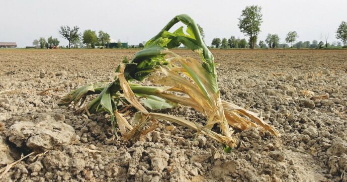 Copertina di Il cambiamento climatico costa all’Italia 284 euro per abitante