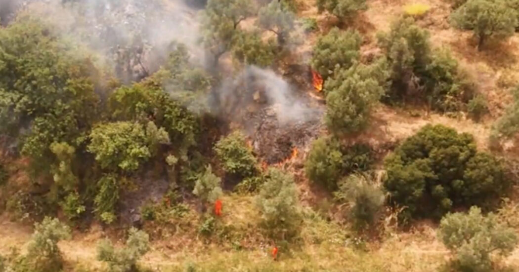 Calabria, i droni identificano 34 piromani: le immagini degli incendi diffusi da Occhiuto. Il presidente: “È ora di finirla”
