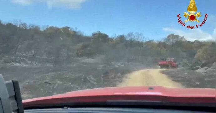 Copertina di Incendio nel Nuorese, oltre 450 ettari distrutti dalle fiamme: in volo due Canadair e sei elicotteri