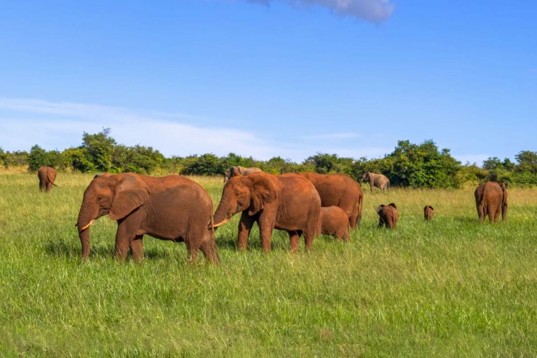 Kenya, il perfetto mix di avventura e relax