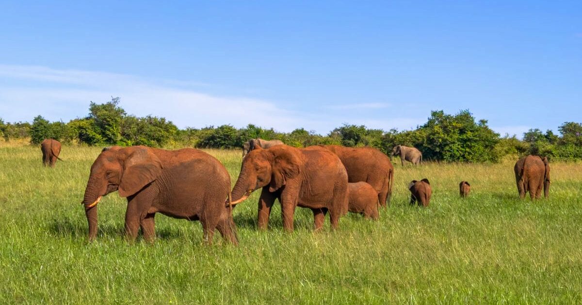 Kenya, il perfetto mix di avventura e relax