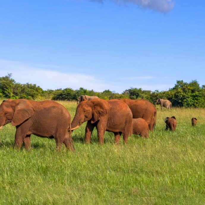 Kenya, il perfetto mix di avventura e relax