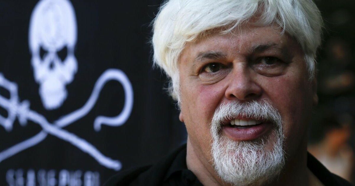 Per Paul Watson si manifesta anche a Milano. La Danimarca si fa complice di caccia alle balene