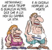 Copertina di La vignetta di Franzaroli