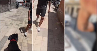 Copertina di Chiede di tenere il cane al guinzaglio, avvocato viene picchiato: il video dell’aggressione fuori da un locale della Balduina