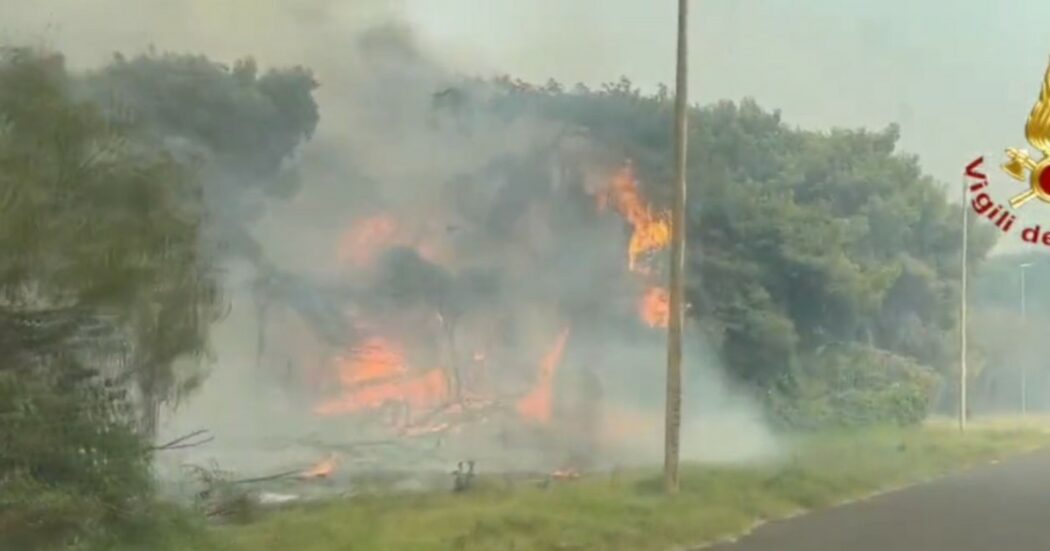 Maxi-incendio nel bosco di Vieste: 1.200 persone evacuate, anche con le motobarche