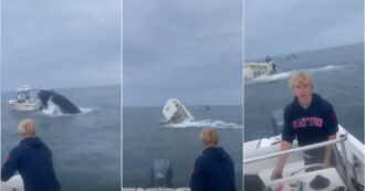 Copertina di Balena salta fuori dall’acqua e atterra su una barca ribaltandola: salvi per miracolo i due a bordo – VIDEO