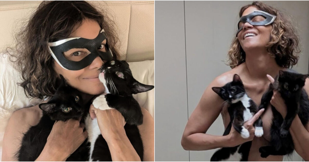 Halle Berry di nuovo Catwoman, ma senza tutina: la posa hot con i suoi gattini infiamma i social