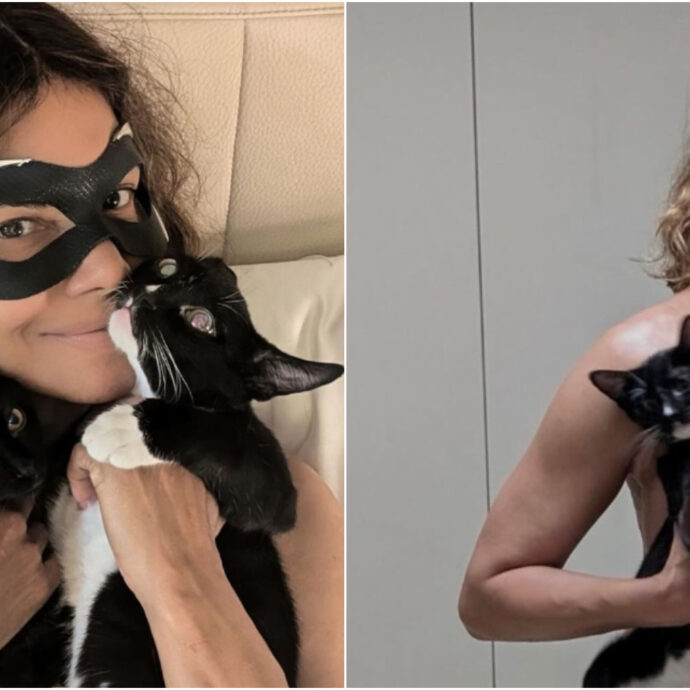 Halle Berry di nuovo Catwoman, ma senza tutina: la posa hot con i suoi gattini infiamma i social