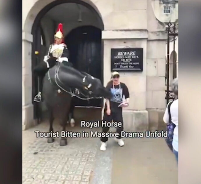 Turista si avvicina per scattare una foto, il cavallo della guardia di Re Carlo III la morde – Video