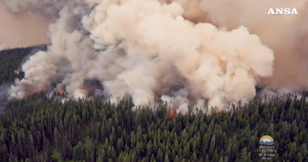 Vasti incendi in Canada, colpita la cittadina di Jaspar: evacuate 5mila persone – Video