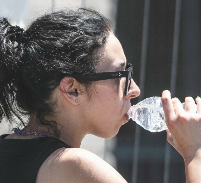 “Gli integratori fai da te non sono efficaci. Gli sbalzi di temperatura possono essere pericolosi”: consigli e chiarimenti della professoressa Viola per combattere il caldo record