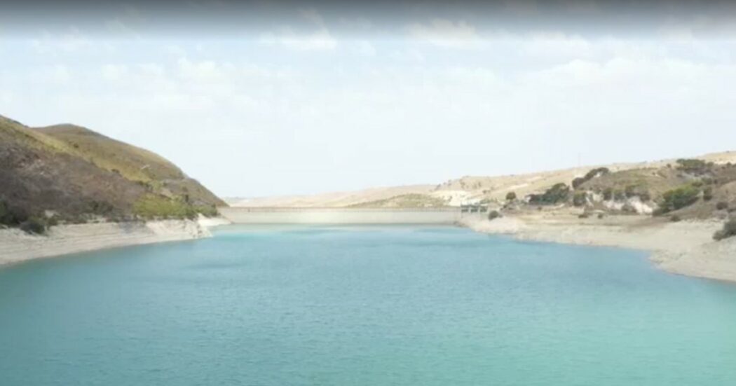 Sicilia, l’ultima idea contro la siccità: travasare i pesci dai laghi e usare l’acqua per irrigare. Legambiente protesta e diffida: “È una follia”
