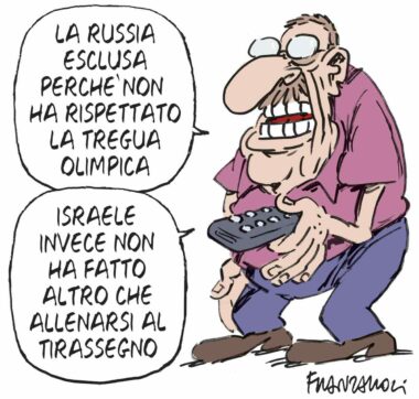 Copertina di La vignetta di Franzaroli