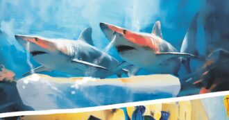 Copertina di La sai l’ultima?