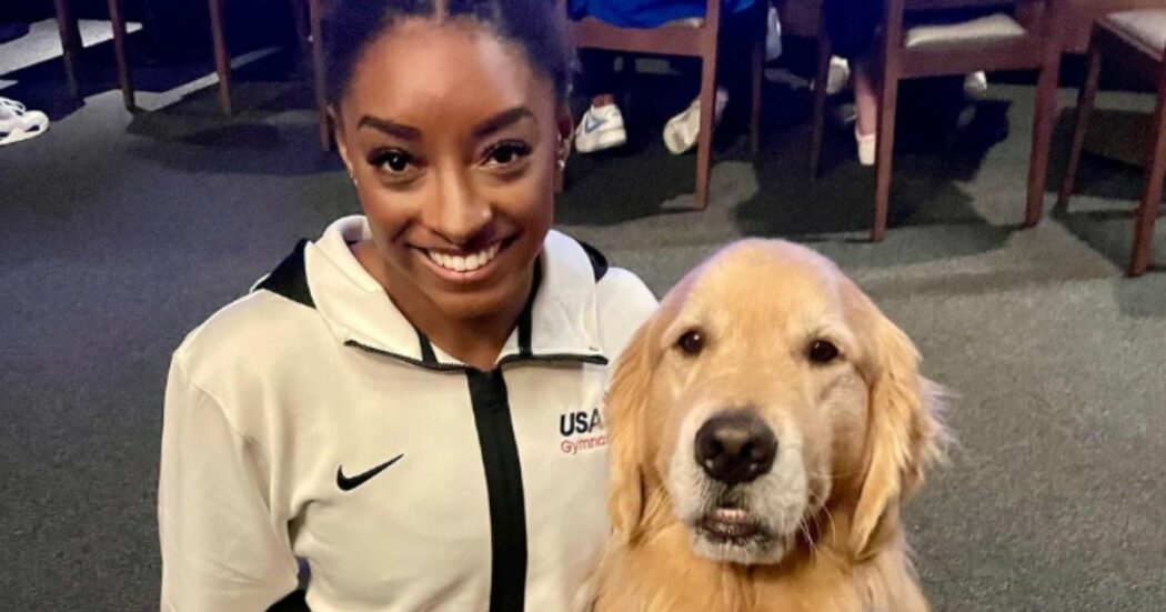 Beacon, il cane ufficiale della ginnastica Usa alle Olimpiadi: viene usato dalle atlete per fare pet-therapy