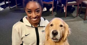 Copertina di Beacon, il cane ufficiale della ginnastica Usa alle Olimpiadi: viene usato dalle atlete per fare pet-therapy