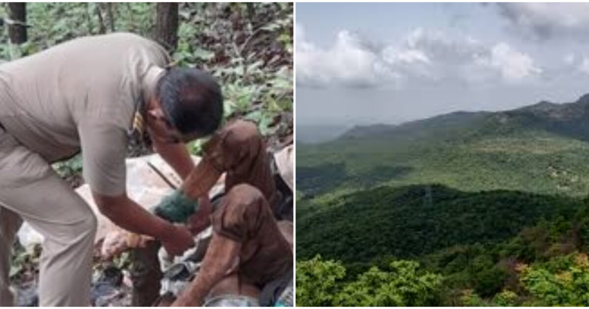 “Il marito l’ha legata all’albero ed è fuggito. Gridava fortissimo”: una donna trovata incatenata in una foresta. Ecco cosa è accaduto