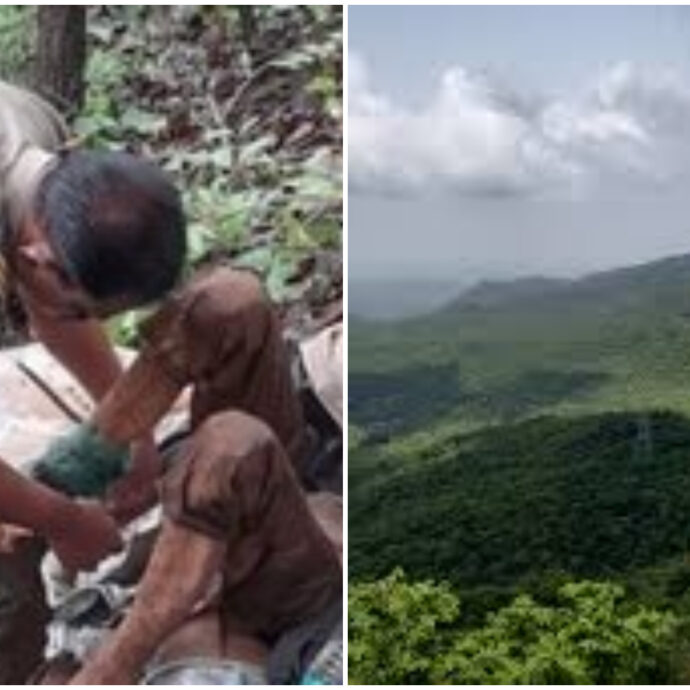 “Il marito l’ha legata all’albero ed è fuggito. Gridava fortissimo”: una donna trovata incatenata in una foresta. Ecco cosa è accaduto