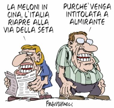 Copertina di La vignetta di Franzaroli