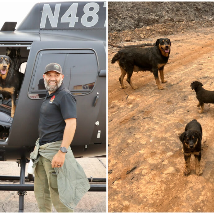 Corre due chilometri per salvare cinque cani da uno dei più vasti incendi di sempre: la storia commovente di Trevor Skaggs