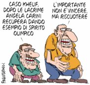 Copertina di La vignetta di Franzaroli