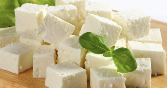 Copertina di L’epidemia di “peste caprina” in Grecia minaccia la produzione del formaggio Feta. Paura del contagio per gli esseri umani?