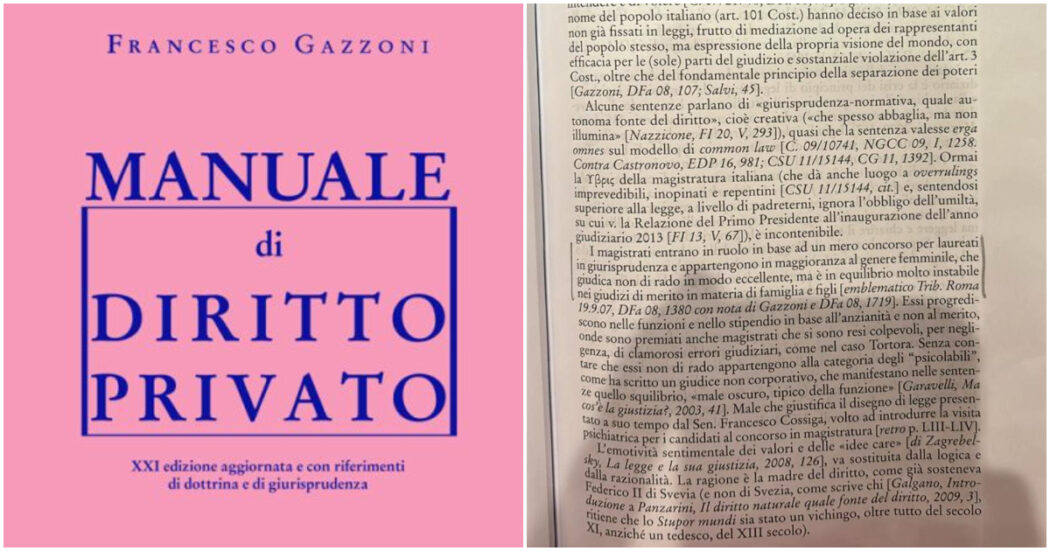 “Magistrati psicolabili, donne in toga instabili nei giudizi su famiglia e figli”: gli insulti nel manuale del prof della Sapienza in pensione