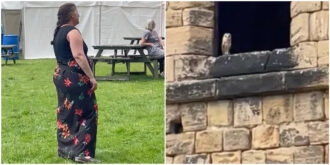 Copertina di Sposi vogliono che a portare le fedi nuziali sia un gufo, ma qualcosa va storto: “È volato via con gli anelli”