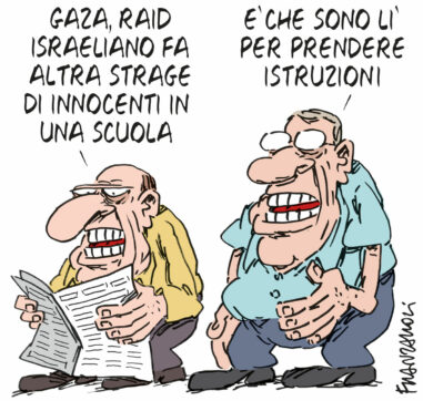 Copertina di La vignetta di Franzaroli