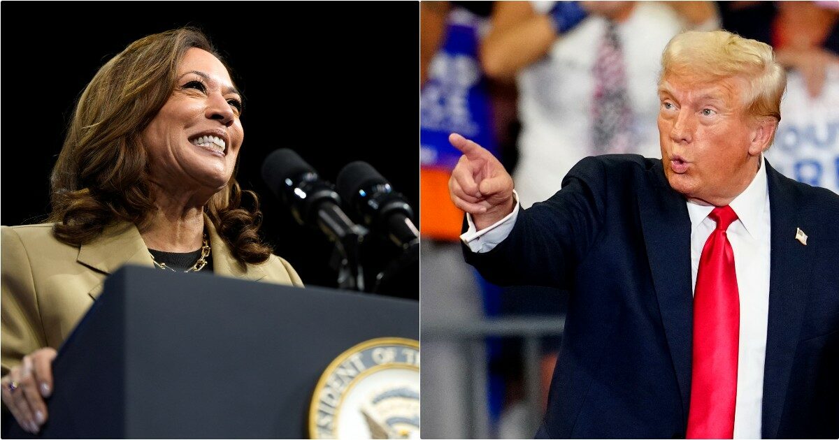 Estados Unidos de América: Según las encuestas de opinión, Kamala Harris está por delante de Trump en tres estados indecisos