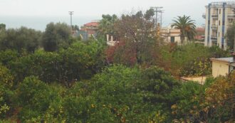 Copertina di Sorrento,  il parco Antonetti sta per nascere:  andrà al Comune  il fondo del pregiudicato