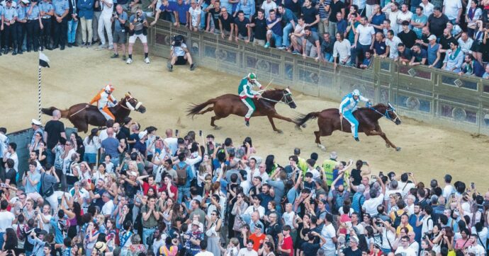 Copertina di Il Palio è patrimonio di tutti, anche di chi non lo capisce