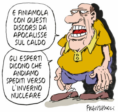 Copertina di La vignetta di Franzaroli