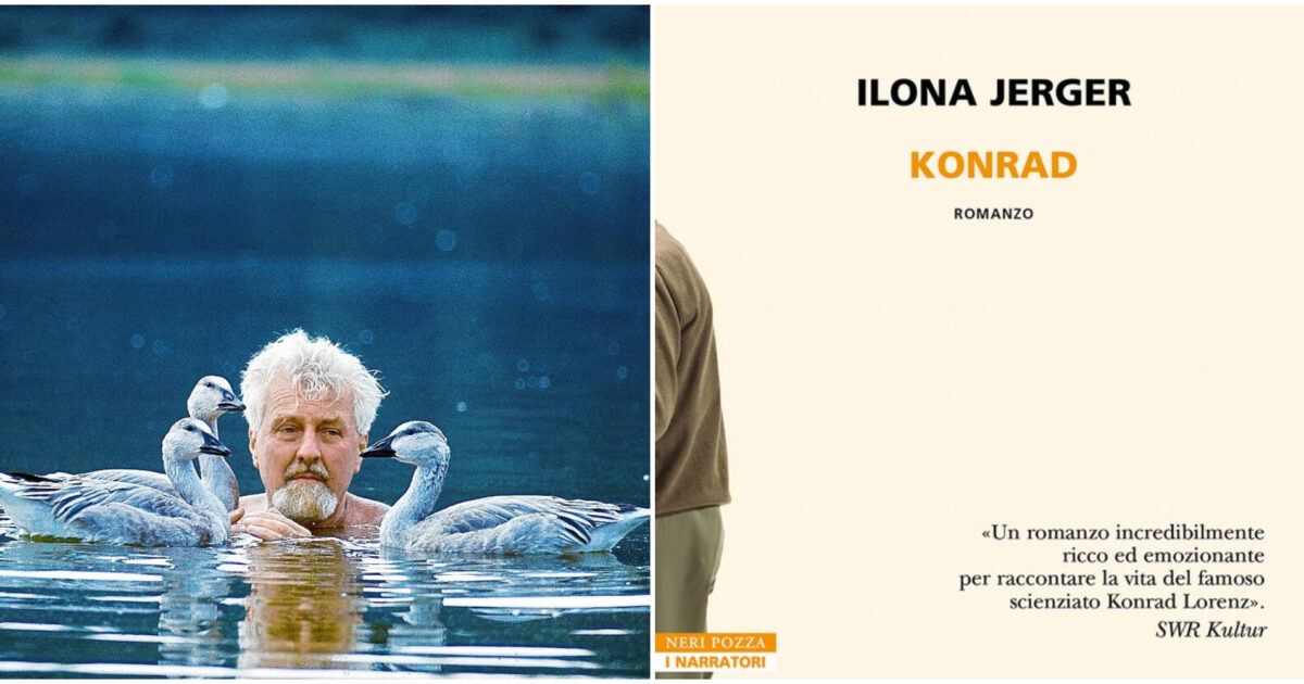 Konrad, la biografia dell’etologo ed ecologista Lorenz tra oche, taccole, topi e partito nazionalsocialista