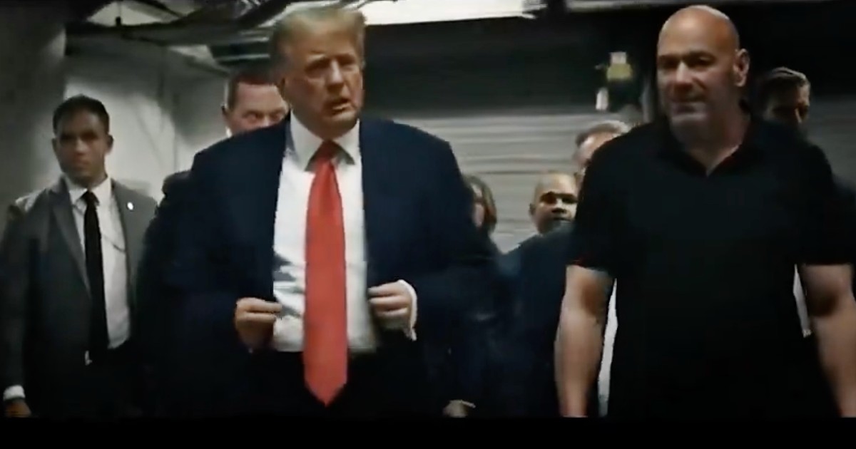 Trump torna su X dopo quasi un anno di silenzio: lo spot elettorale postato poco prima della conversazione con Musk