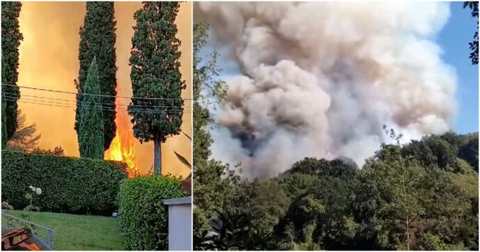 Copertina di Incendio sulle colline di Camaiore visibile anche dalle spiagge della Versilia: le fiamme minacciano le case – Video