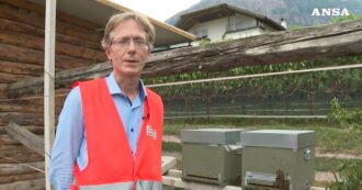 Bolzano, api come sentinelle ambientali nei cantieri: “Grazie a loro misuriamo la qualità dell’aria e capiamo l’impatto dei lavori nella zona”