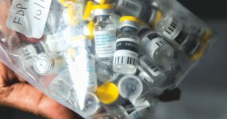 Copertina di Vaiolo scimmie, vaccino arrivato alle Regioni. Il Ministero: “Zero casi dalla nuova variante”