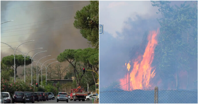 Copertina di Maxi incendio a Roma, il video delle fiamme in un prato a Torre Spaccata: l’intervento di vigili del fuoco e Protezione civile