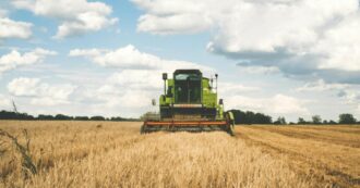 Copertina di Guerra del grano. I paradossi di un alimento simbolico in un  sistema globalizzato (e ingiusto)